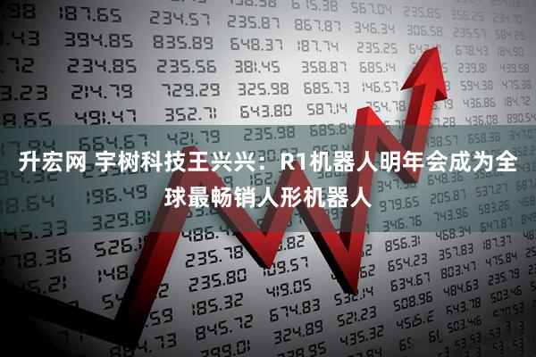 升宏网 宇树科技王兴兴：R1机器人明年会成为全球最畅销人形机器人